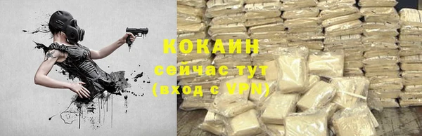 шишки Алексин