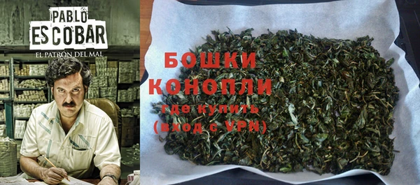 ешки Алзамай