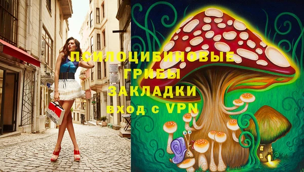 ешки Алзамай